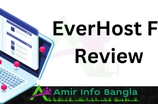 EverHost FE Review